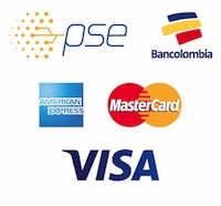 metodos de pago Techlab